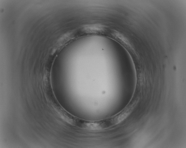 X0000062830265200601131306