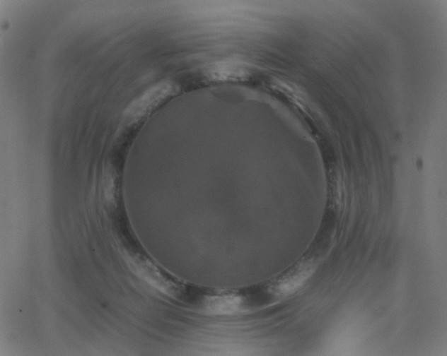 X0000062830266200601131306