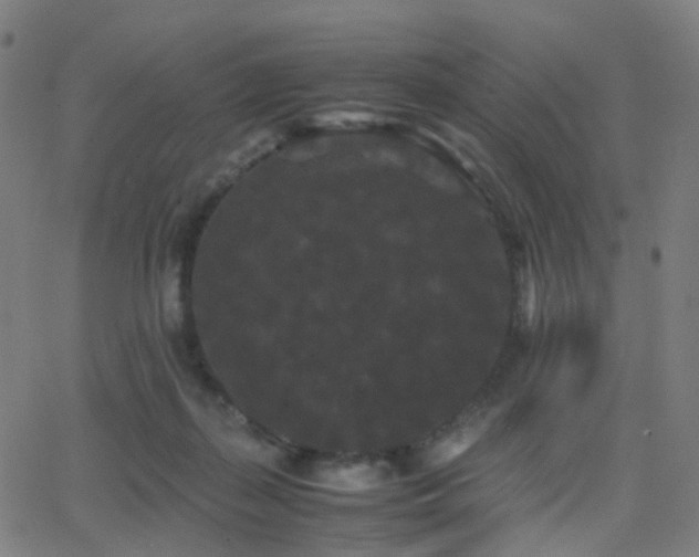 X0000062830267200601131306