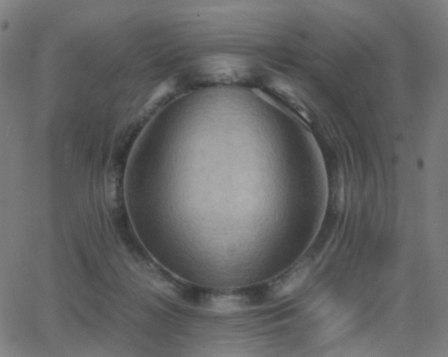 X0000062830268200601131306