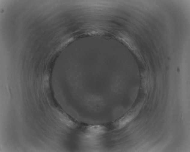 X0000062830269200601131306