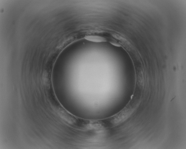 X0000062830270200601131306