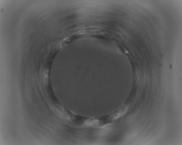 X0000062830271200601131306