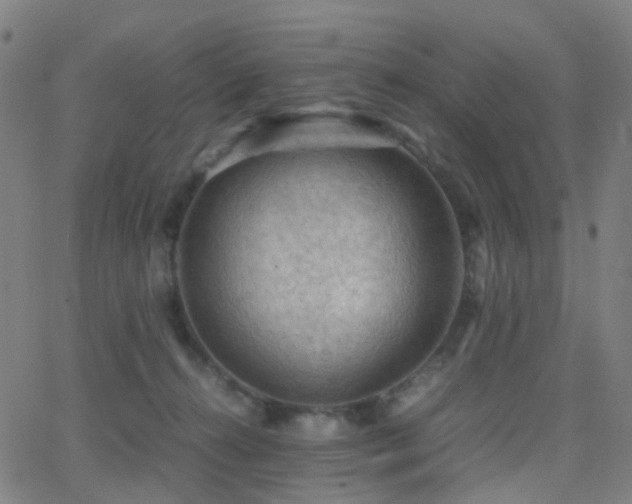 X0000062830272200601131306