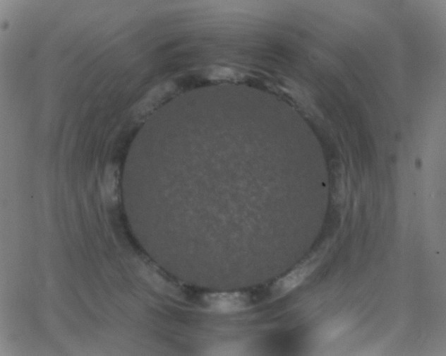 X0000062830273200601131306