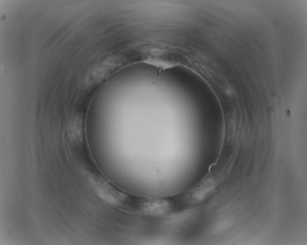 X0000062830274200601131306