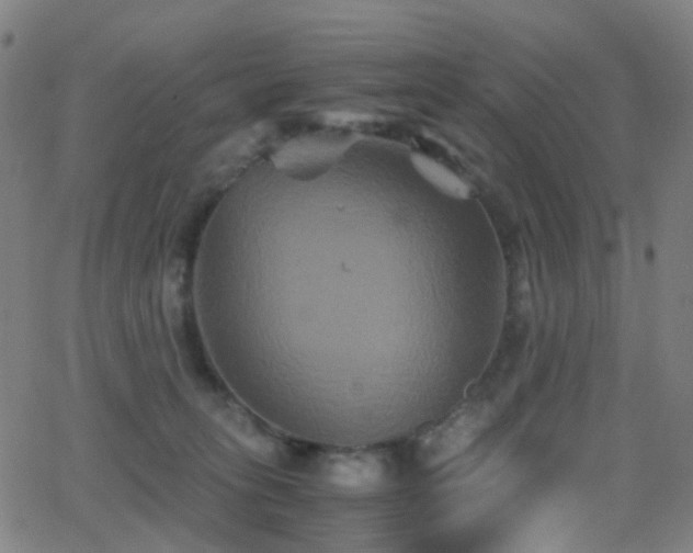 X0000062830275200601131306