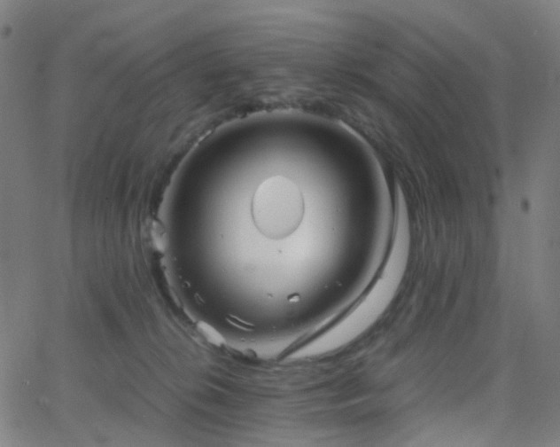 X0000062830276200601131306