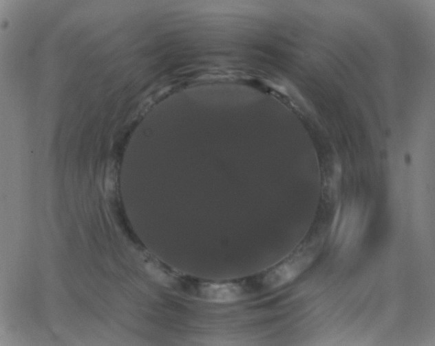 X0000062830277200601131306