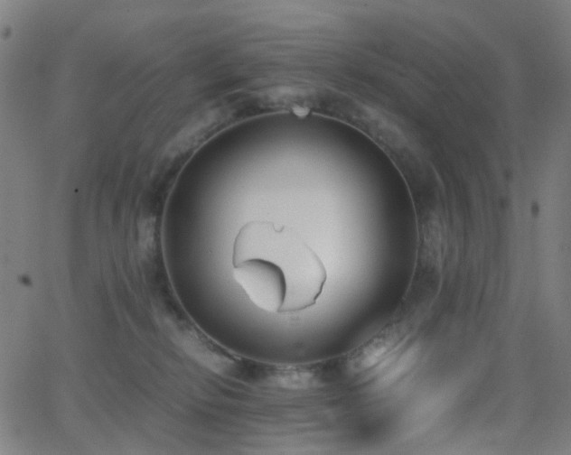 X0000062830278200601131306