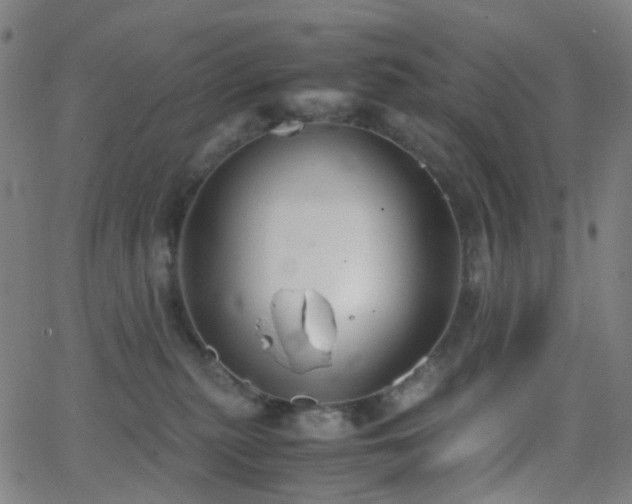 X0000062830279200601131306