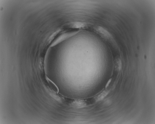 X0000062830280200601131306