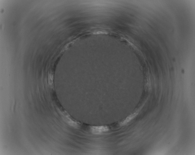 X0000062830281200601131306