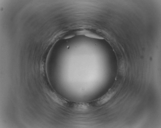 X0000062830282200601131306