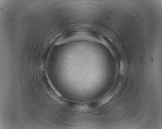 X0000062830284200601131306