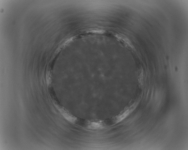 X0000062830285200601131306