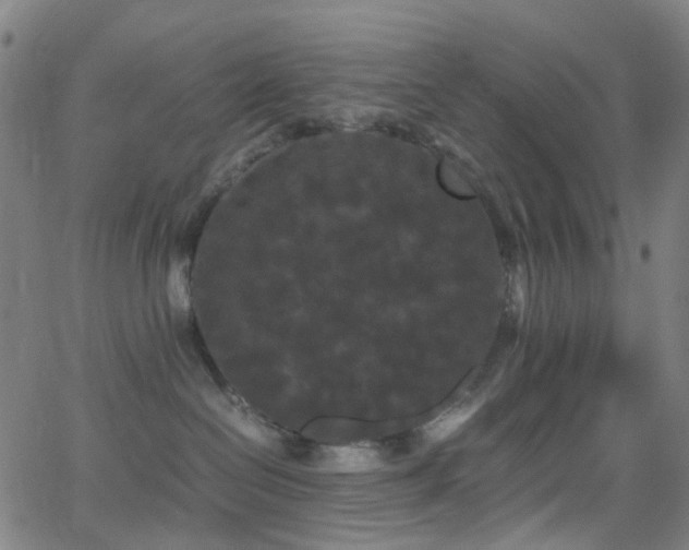 X0000062830286200601131306