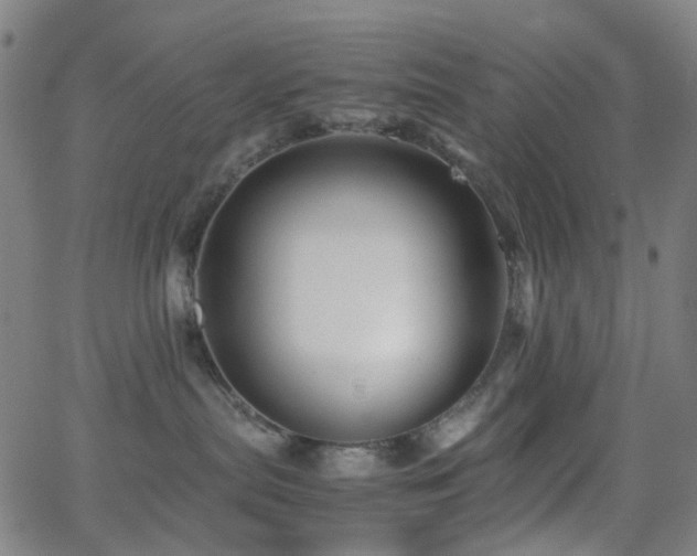 X0000062830287200601131306