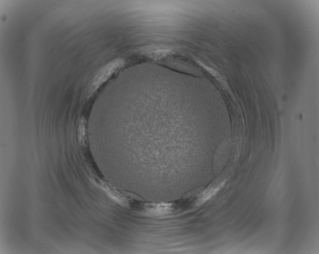 X0000062830288200601131306