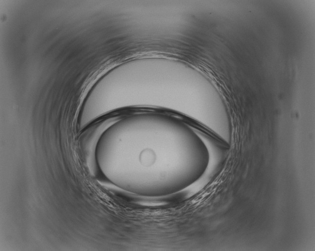 X0000062830289200601131305