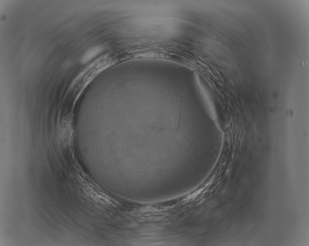 X0000062830290200601131305