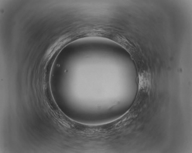 X0000062830291200601131305