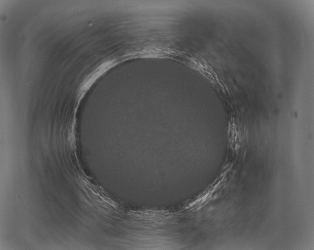 X0000062830292200601131305