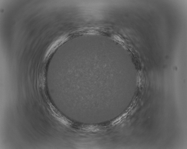 X0000062830293200601131305