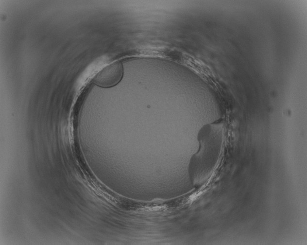 X0000062830294200601131305