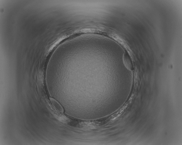 X0000062830297200601131305