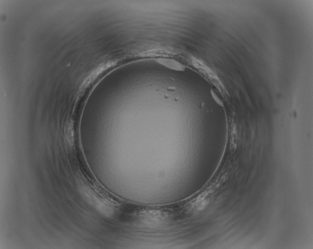 X0000062830298200601131305