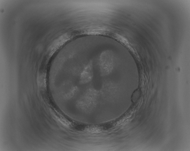 X0000062830299200601131305