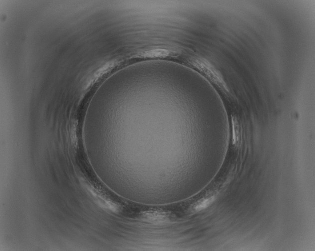 X0000062830300200601131305