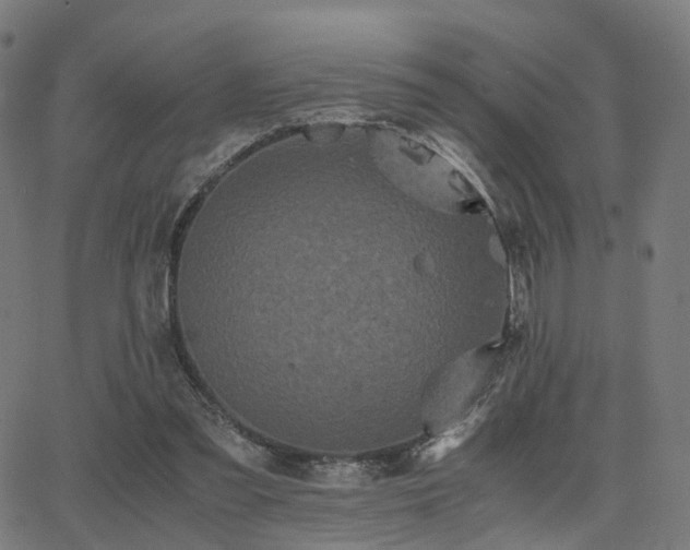 X0000062830301200601131305