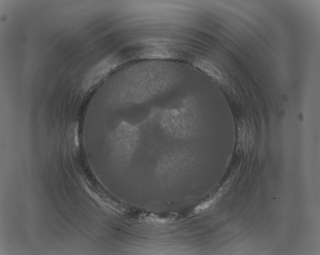 X0000062830302200601131305