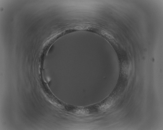 X0000062830303200601131305