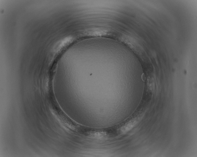 X0000062830304200601131305