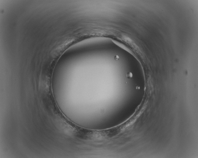 X0000062830305200601131305