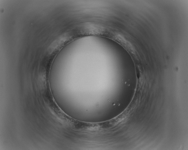 X0000062830306200601131305