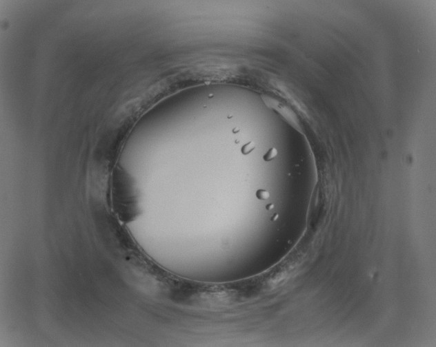 X0000062830307200601131305