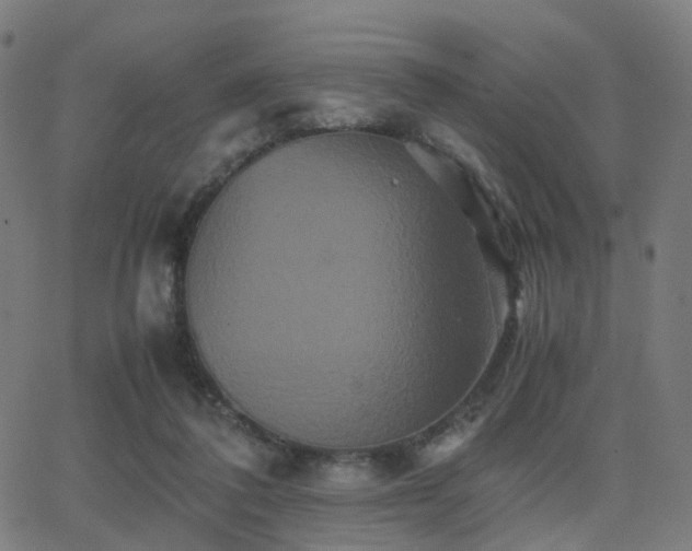 X0000062830308200601131305