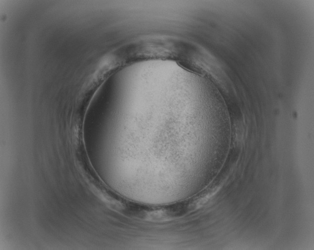 X0000062830309200601131305