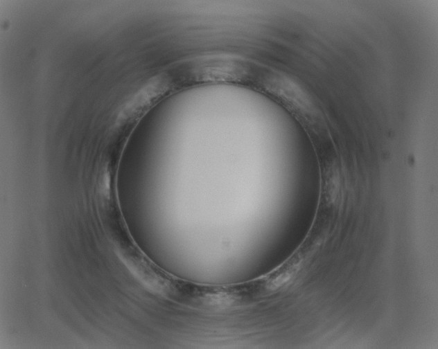 X0000062830310200601131305