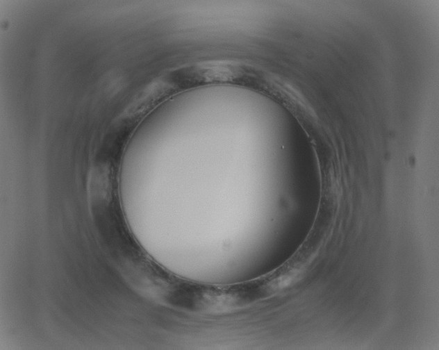 X0000062830311200601131305