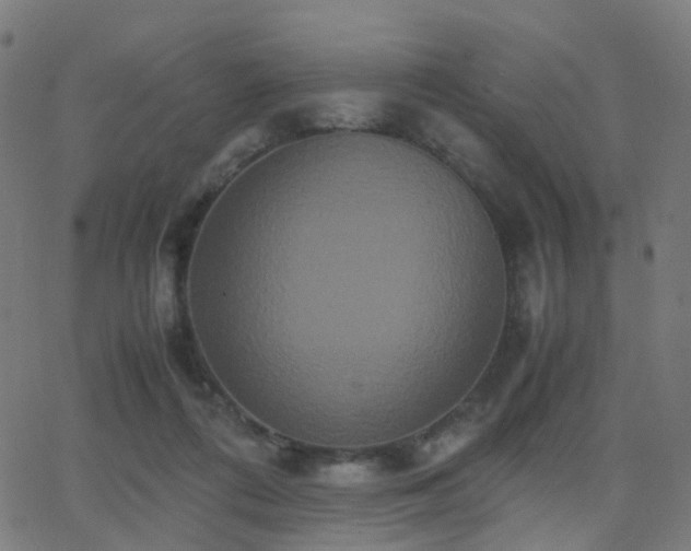 X0000062830312200601131305