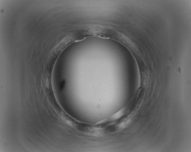 X0000062830313200601131305