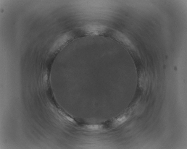 X0000062830314200601131305