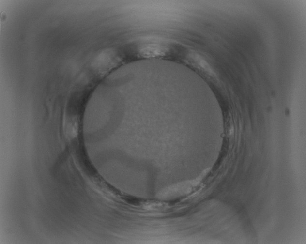 X0000062830315200601131305