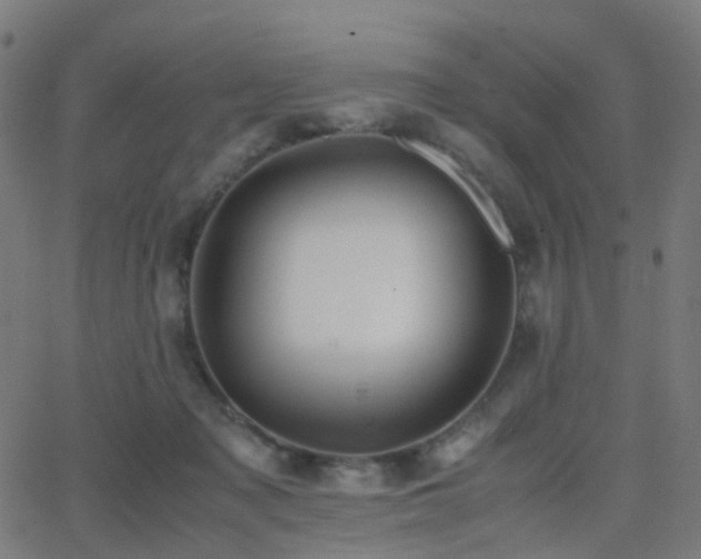 X0000062830317200601131305