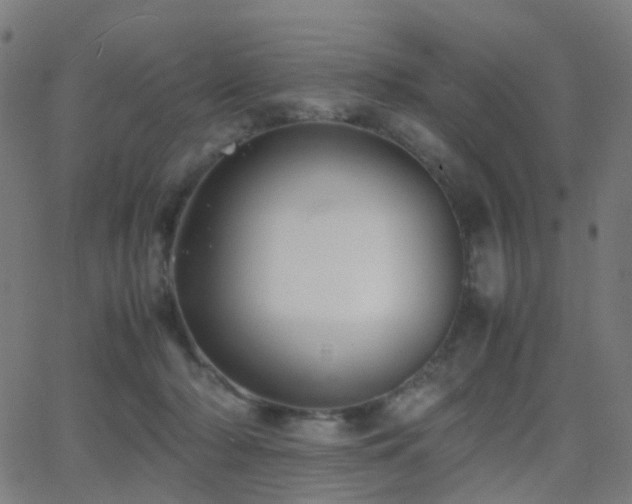 X0000062830318200601131305